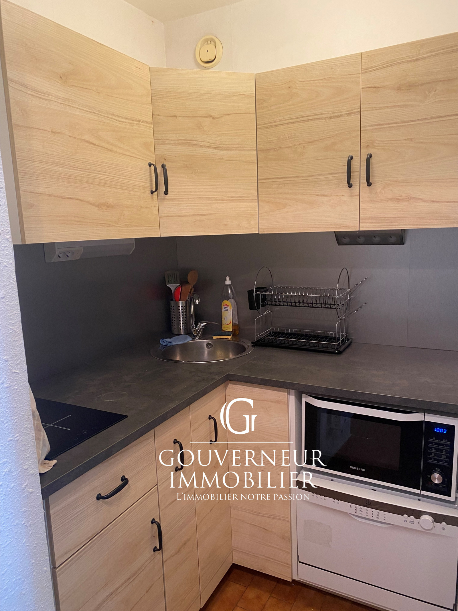 Image_,
            Appartement, La Grande-Motte, ref :199