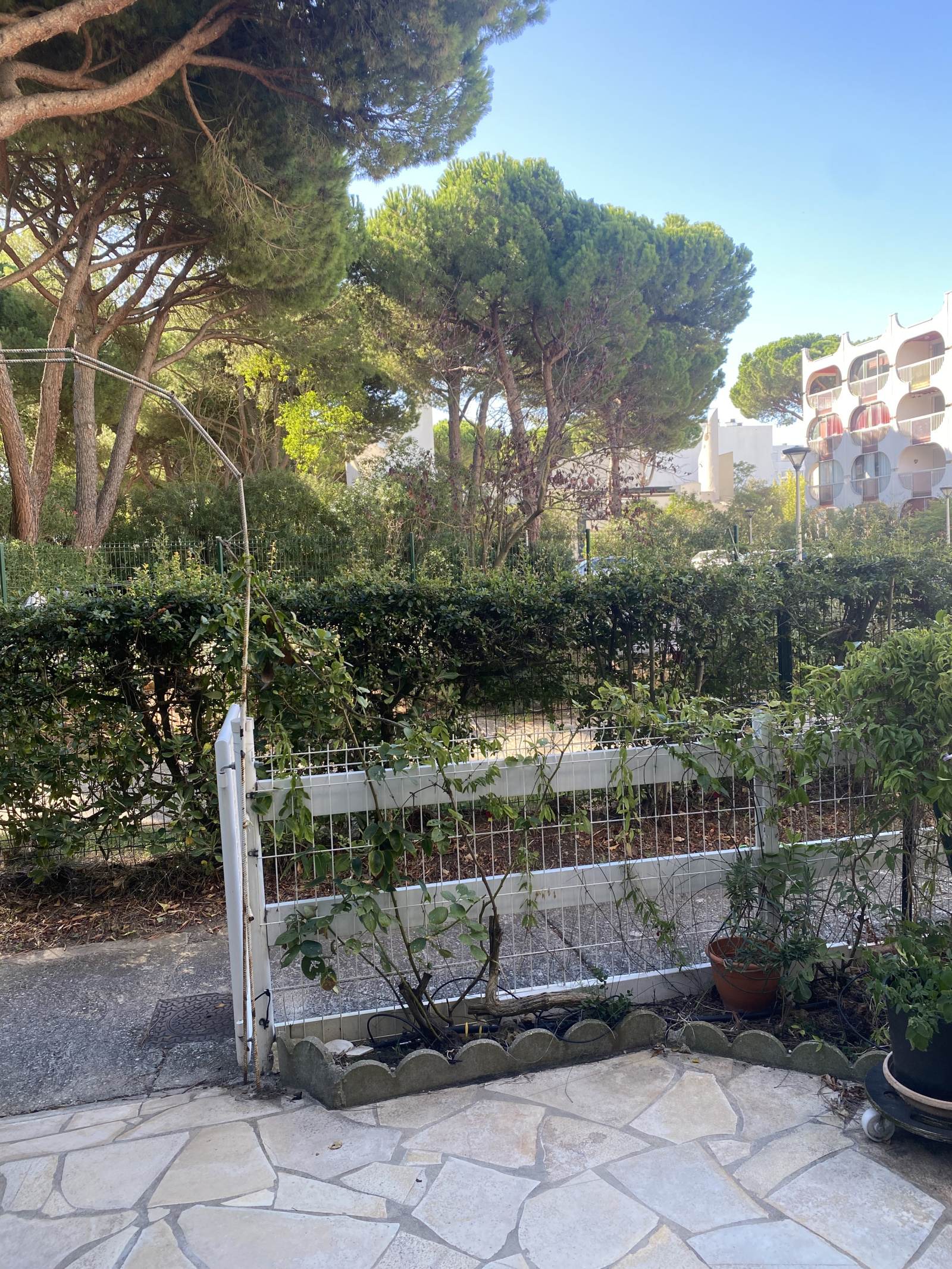 Image_,
            Appartement, La Grande-Motte, ref :1-157