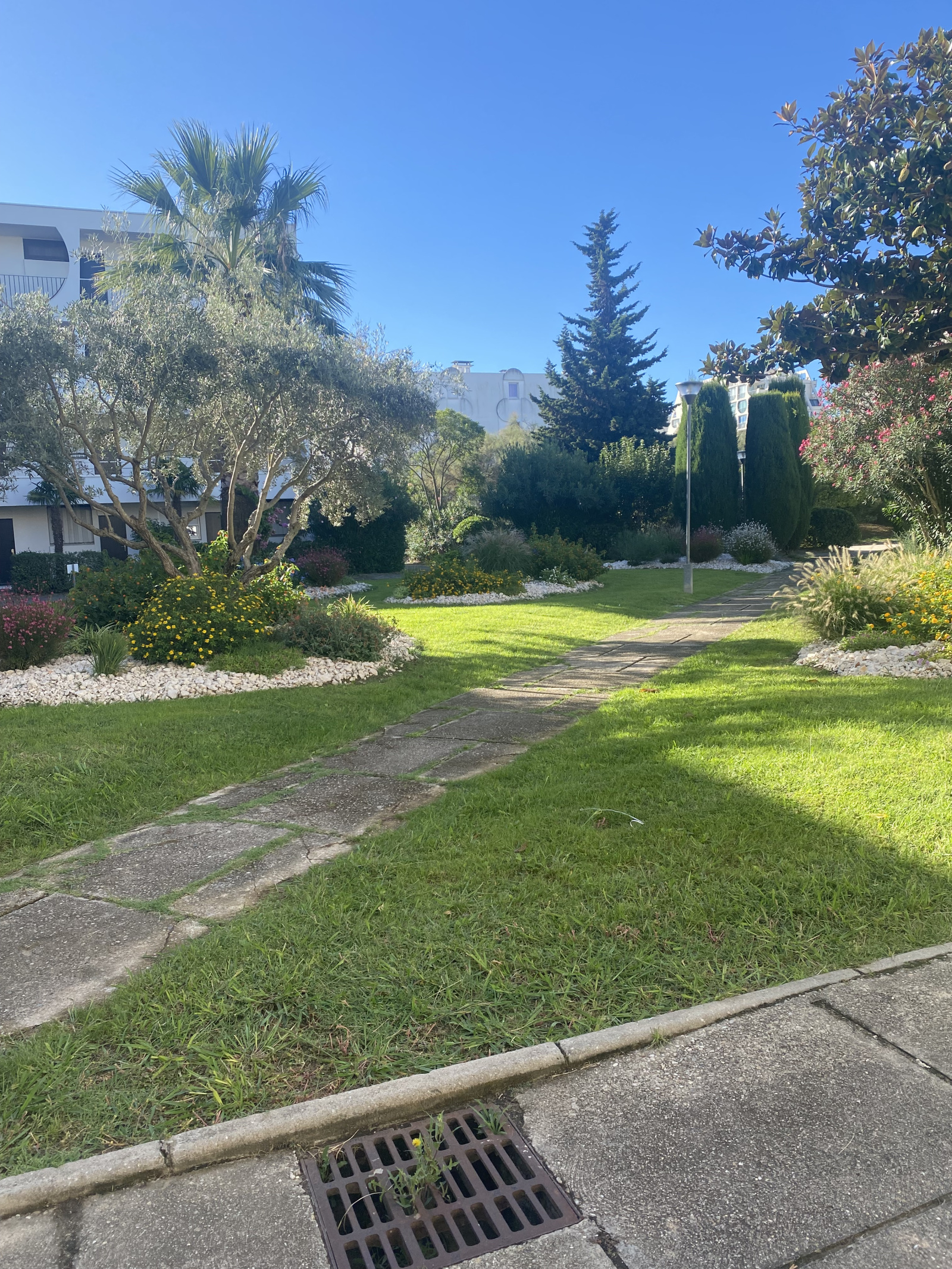 Image_,
            Appartement, La Grande-Motte, ref :1-157