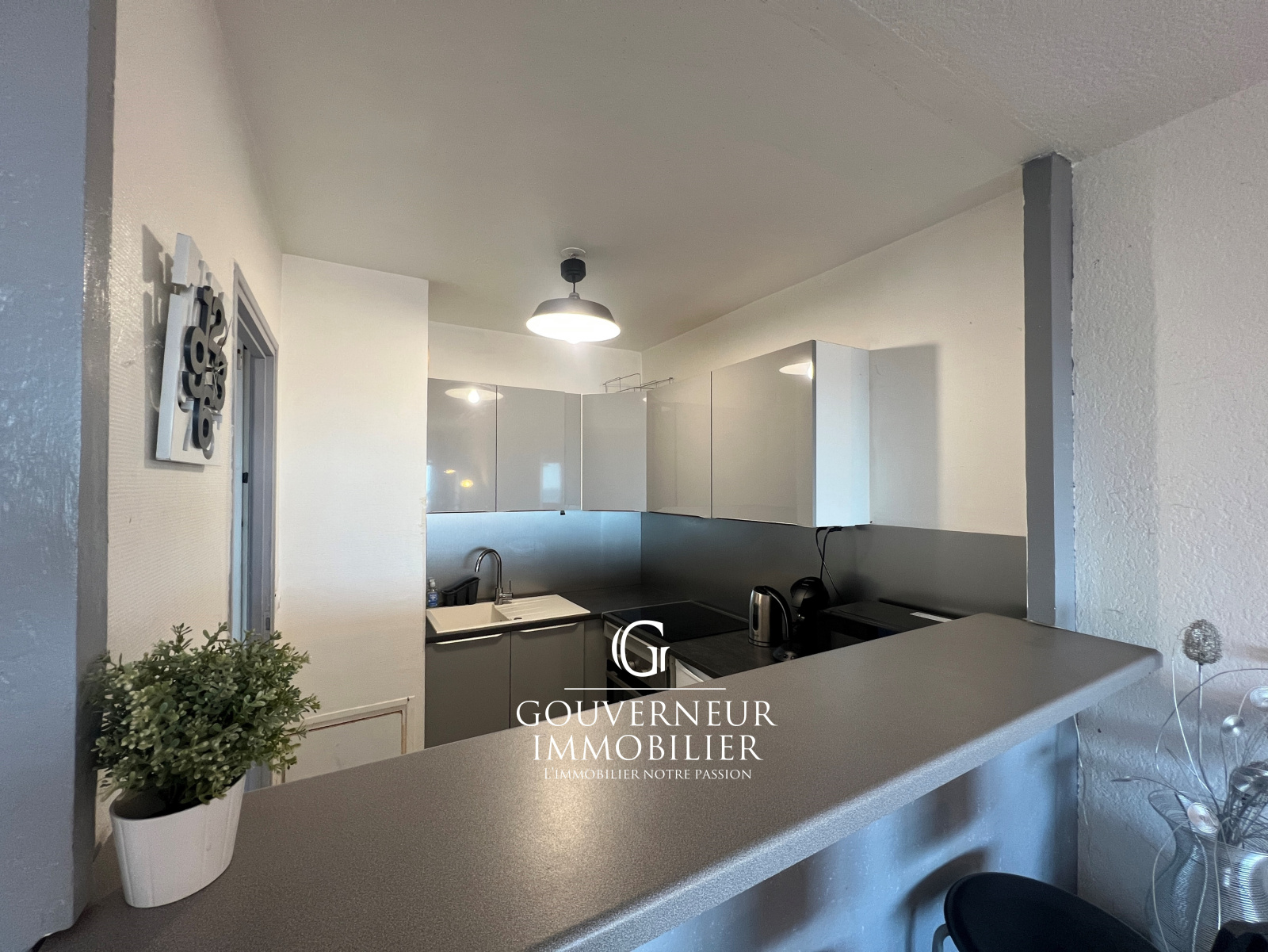 Image_,
            Appartement, Carnon Plage, ref :1-146