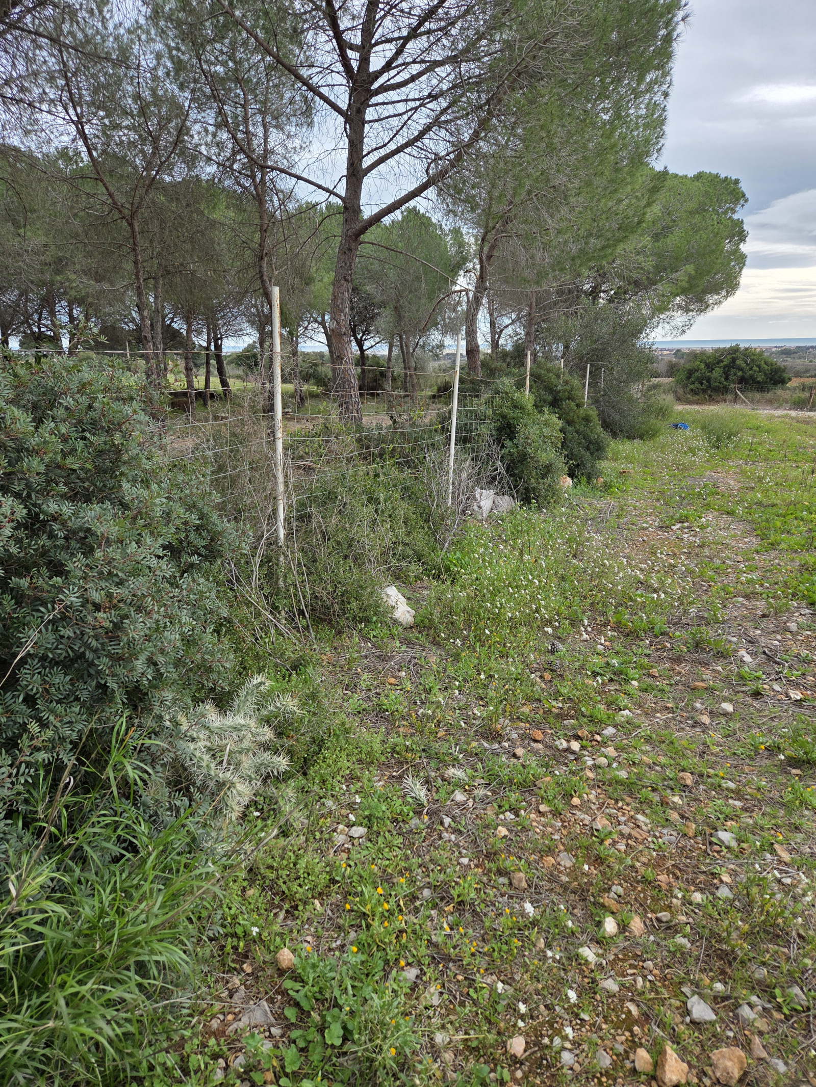 Image_,
            Terrain de loisir, Frontignan, ref :1-168