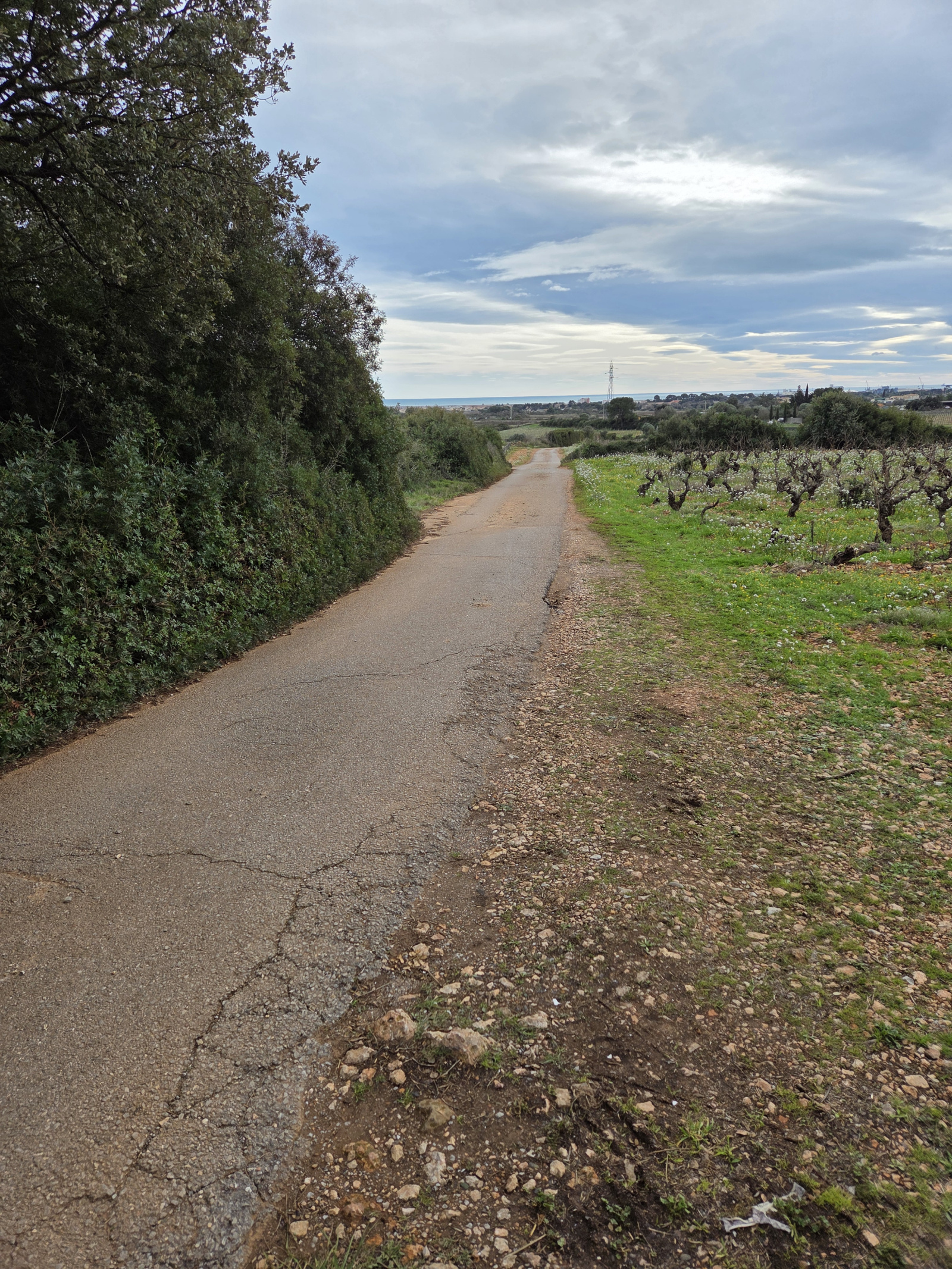 Image_,
            Terrain de loisir, Frontignan, ref :1-168