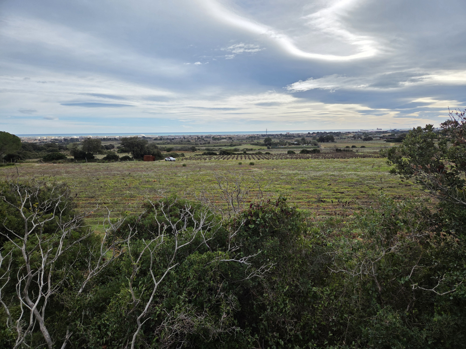 Image_,
            Terrain de loisir, Frontignan, ref :1-168