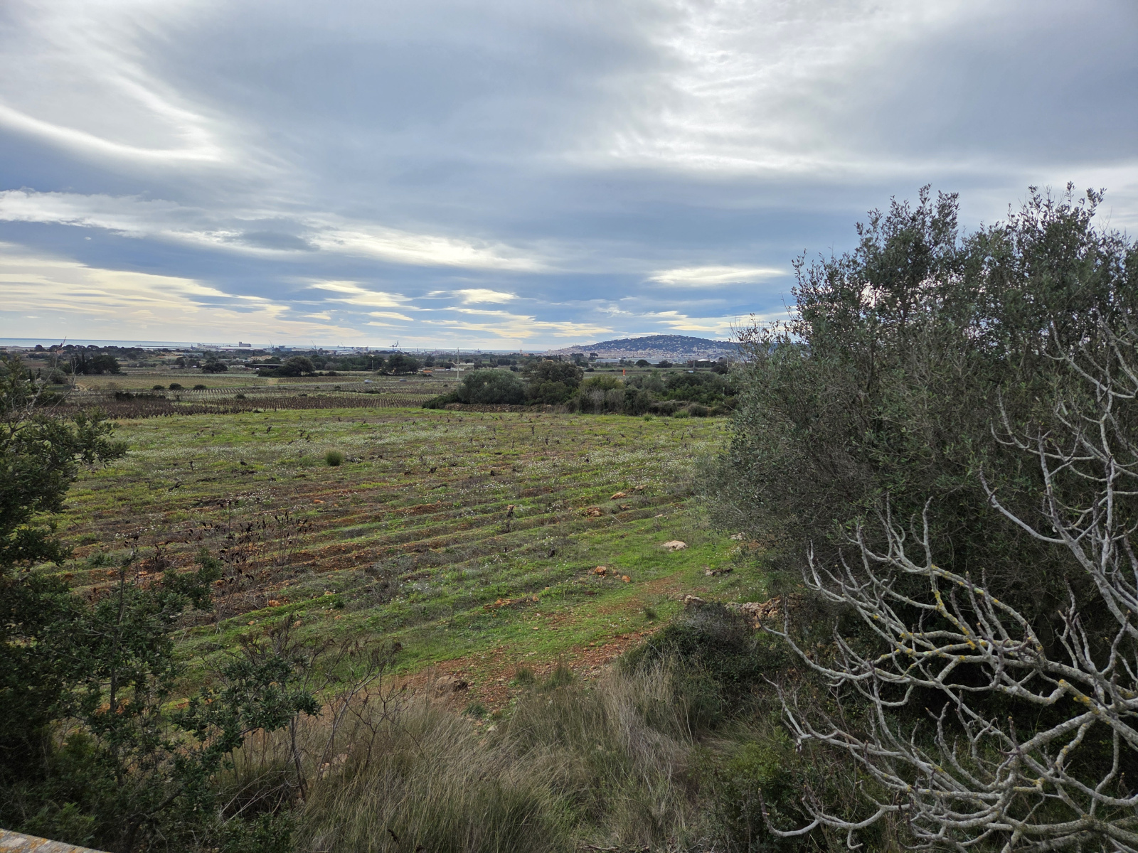 Image_,
            Terrain de loisir, Frontignan, ref :1-168