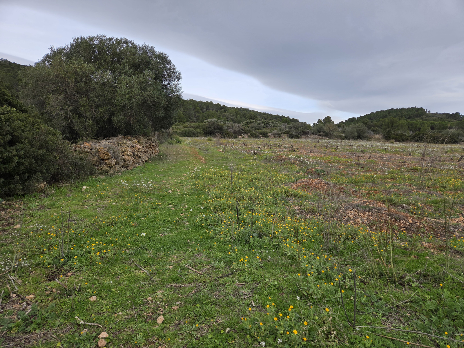 Image_,
            Terrain de loisir, Frontignan, ref :1-168