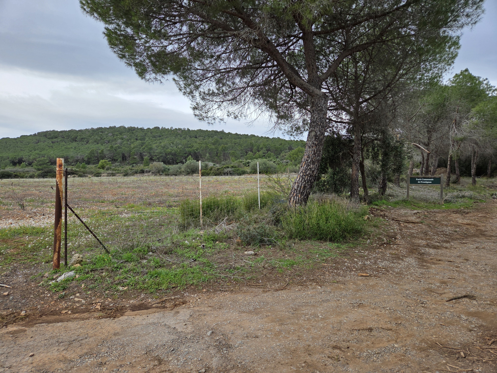 Image_,
            Terrain de loisir, Frontignan, ref :1-168