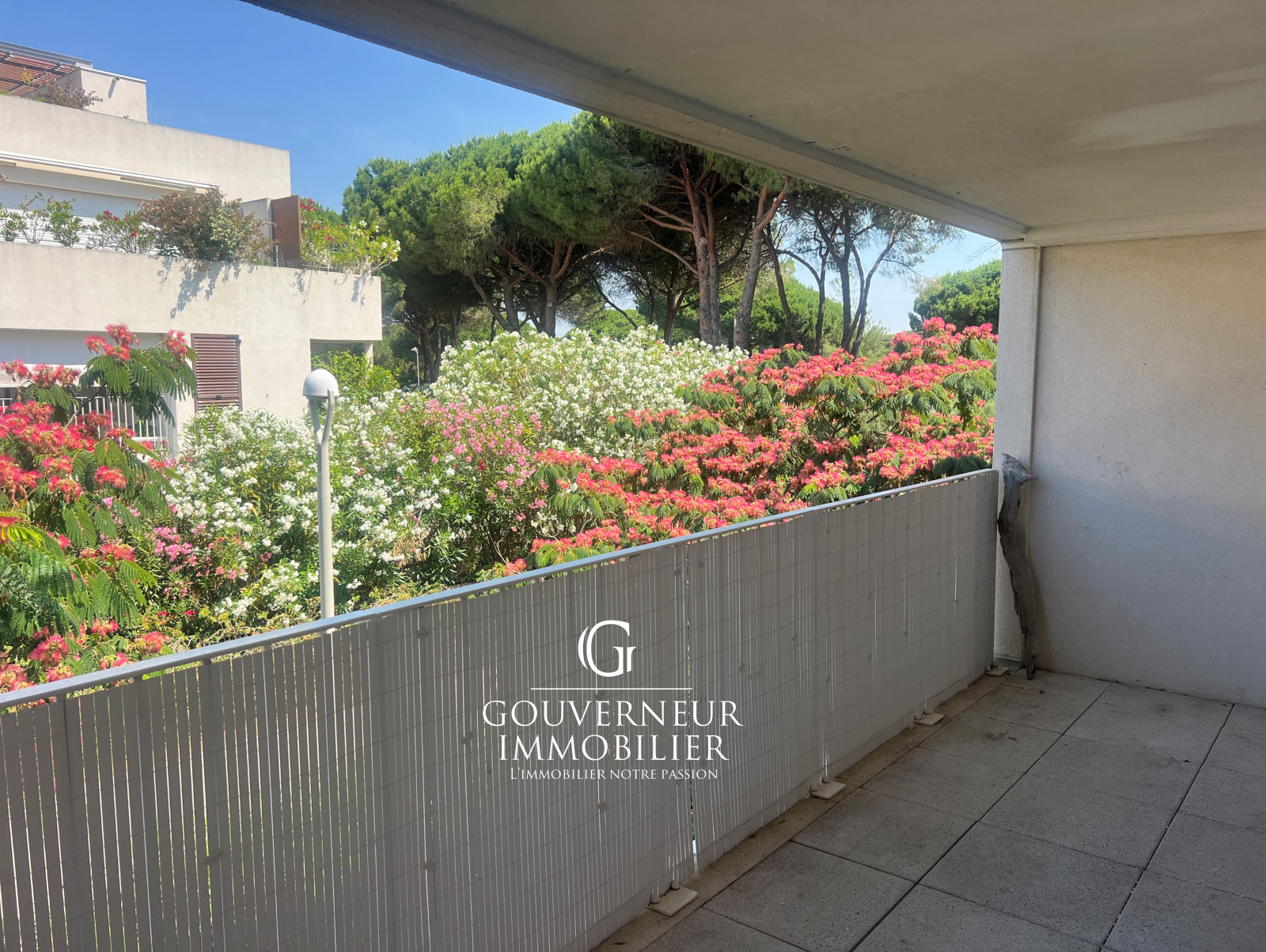 Image_,
            Appartement, La Grande-Motte, ref :1-157