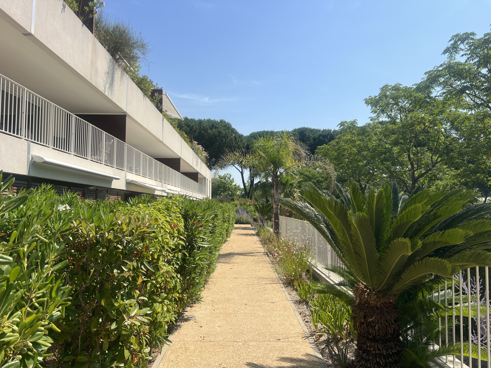 Image_,
            Appartement, La Grande-Motte, ref :1-157