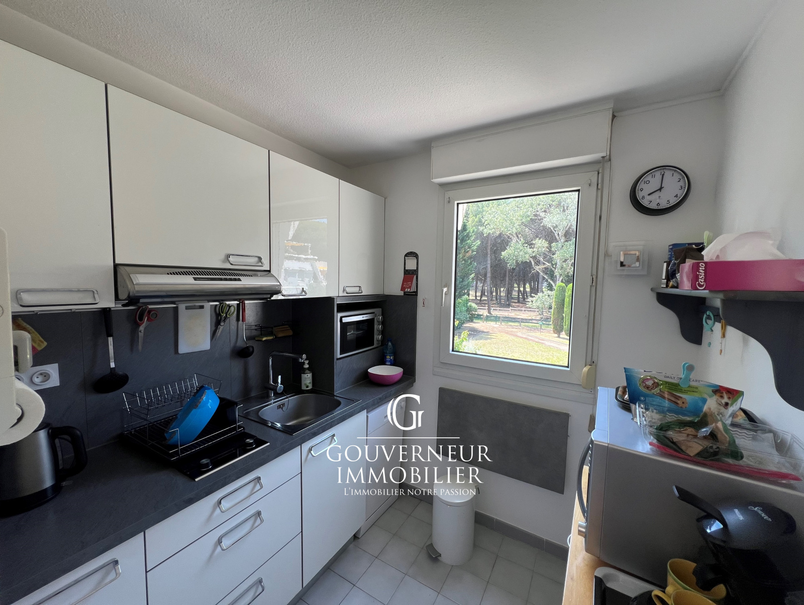 Image_,
            Appartement, La Grande-Motte, ref :1-155