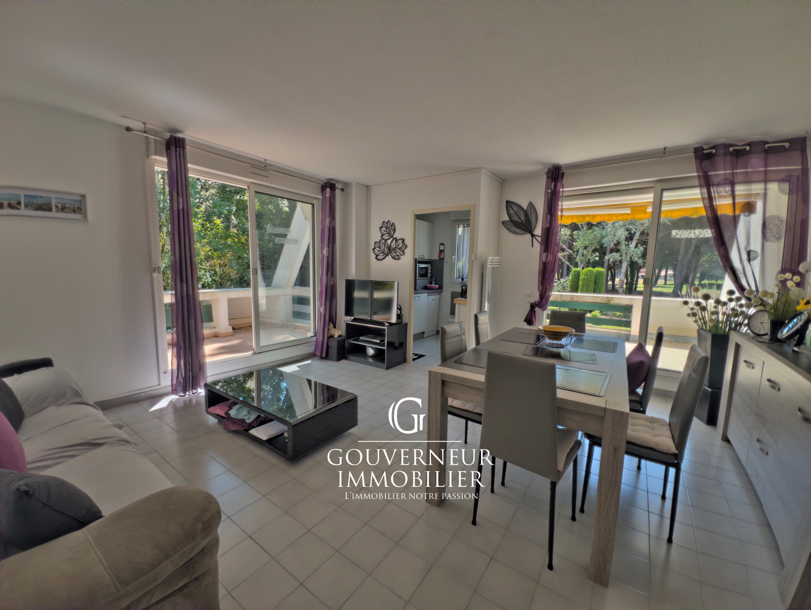 Image_,
            Appartement, La Grande-Motte, ref :1-155