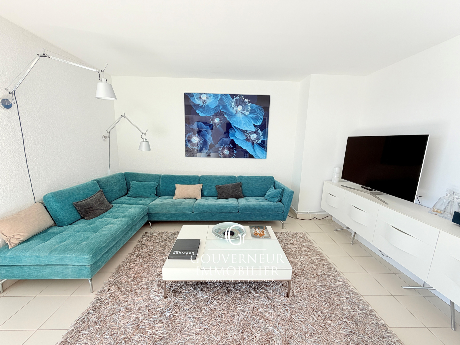 Image_,
            Appartement, Carnon Plage, ref :1-0172